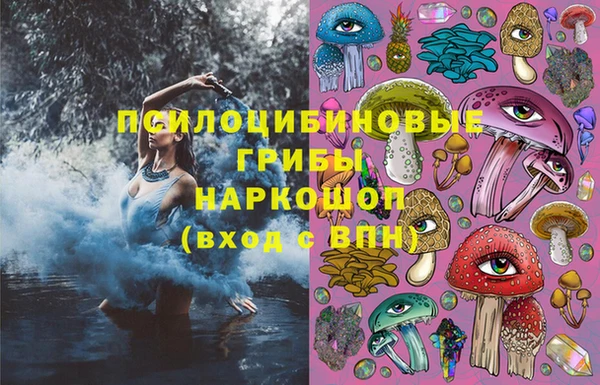амф Каменногорск