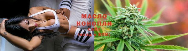 амф Каменногорск