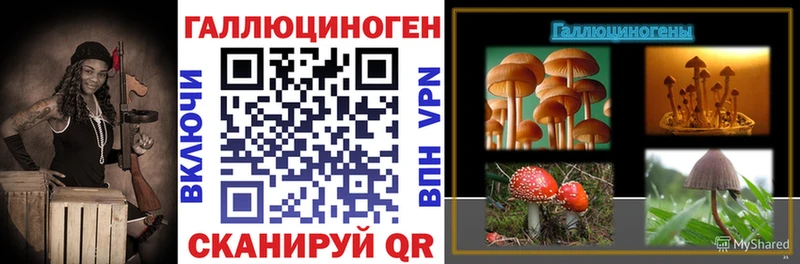 Псилоцибиновые грибы мицелий Купить где Буйнакск
